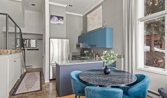 1050 Waters Ave 9, Aspen, CO 81611