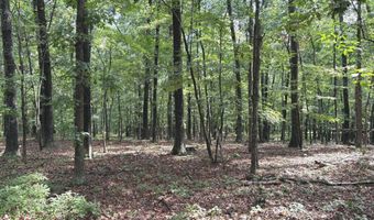 26 33 ACRES HICKORY CORNER Rd, Augusta, WV 26704