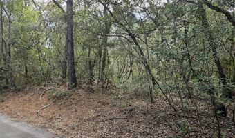 5 Musket Ct, Bald Head Island, NC 28461