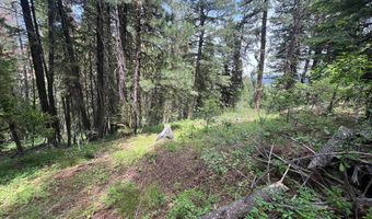 Tbd Hilltop Road 43 & 44, Cascade, ID 83611