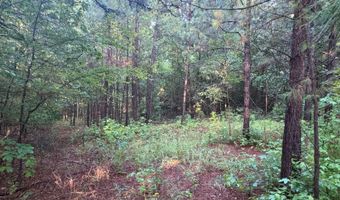 greenwood road, Antlers, OK 74523