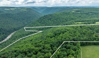 000 Bear Ridge Rd, Albright, WV 26519