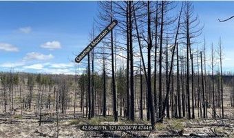 Hicks Rd, Bly, OR 97622