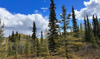 B005 S Packsaddle Road, Chickaloon, AK 99674