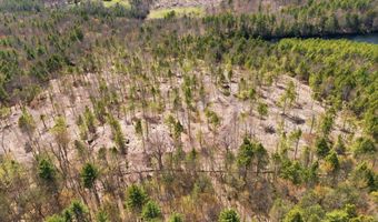 Pierce Lake Road lot 0-1-2, Antrim, NH 03440