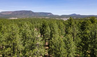 13 County Road N 2122, Alpine, AZ 85920