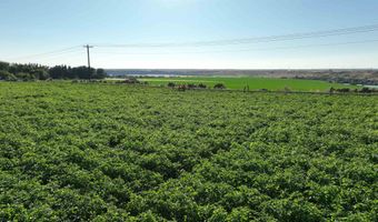 Neeley Road, American Falls, ID 83211