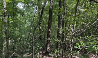 49 Bayside Blvd, Bean Station, TN 37708