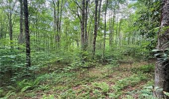 Chestnut Mountain Road, Banner Elk, NC 28604