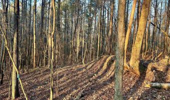 00007 SPRINGHOLLOW Rd Lot 7, Ashville, AL 35953