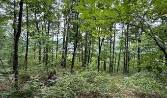 Paradise Lane, Bee Branch, AR 72013