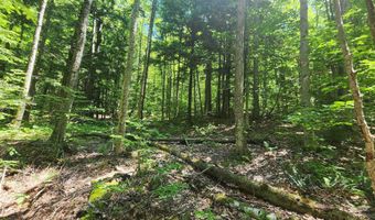00 Hillcrest Rd, Andover, VT 05143