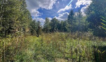PINEPITCH Road, Harrington, DE 19952