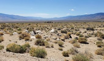 810 Chiatovich Creek Road Lot 8A1, Dyer, NV 89010