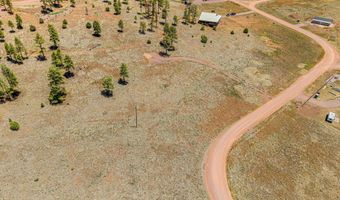 32 The Ranch At Alpine, Alpine, AZ 85920