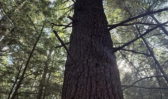 Lot6B Hopkins Ln, Becket, MA 01223