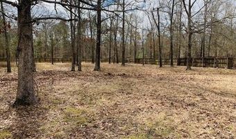 217 E Pointe Dr, Benton, LA 71006