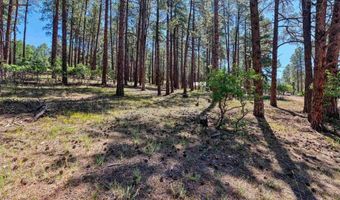 79 Spruce Way, Bayfield, CO 81122