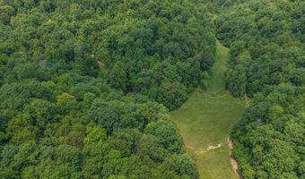 50 Hg Williams Dr, Bays, KY 41310