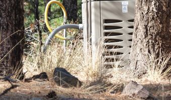 10 County Road 2074, Alpine, AZ 85920