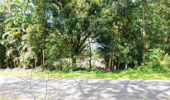 11 Th Ave, Keaau, HI 96749