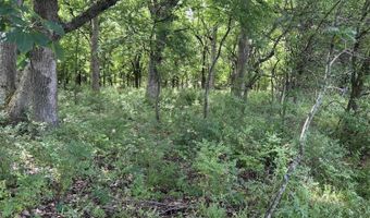 Tract Tbd W Farm Road 64, Ash Grove, MO 65604