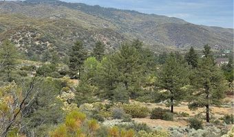 2 Goldshot Creek Rd, Mountain Center, CA 92561