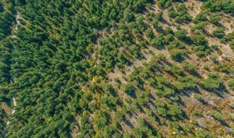 NKA Silver Creek Road, Clark Fork, ID 83811