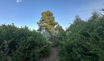 9 CHAMISA, Castle Valley, UT 84532