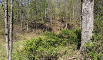 Hamilton Ridge, Alderson, WV 24910