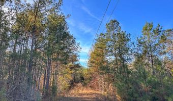 0 County Road 25, Reform, AL 35481