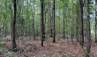 Carbon Plant Road, Bastrop, LA 71220