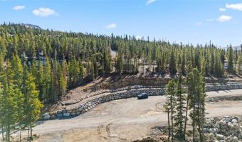 115 SALLIE BARBER Rd, Breckenridge, CO 80424