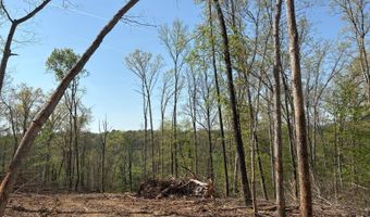 7900 Mineral Koleen Rd, Bloomfield, IN 47424