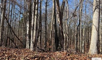 0 Reed Creek Dr, Bassett, VA 24055