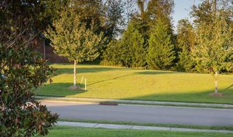1568 Tsuga Dr, Alcoa, TN 37701