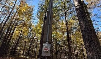 Perry Chapel Road, Ashland, MS 38603