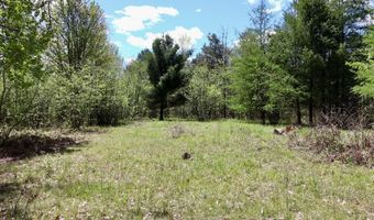 La Grant Road, Alger, MI 48610