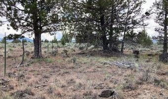 Lot 300 Hwy 140 E, Beatty, OR 97621
