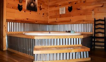 3512 Iron Gate Dr, Baneberry, TN 37890
