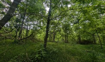 Mt Helen Rd, Allardt, TN 38504