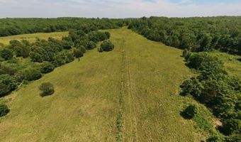 N County Road 113, Alton, MO 65606