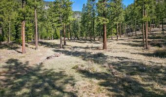 13902 Highland Trl, Alberton, MT 59820