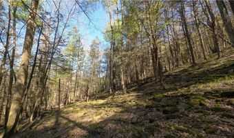 East River Road lot 5, Andes, NY 13731