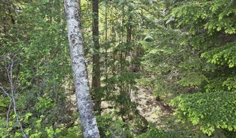 5784 River Rd, Clark Fork, ID 83811