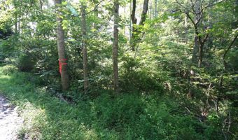 TBA BETTYS BRANCH RD X, Arvonia, VA 23004