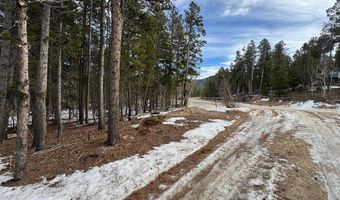 121 Aurora Rd, Black Hawk, CO 80422