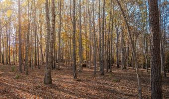 217 W Chapman Rd, Belton, SC 29627