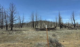 31763 Godowa Springs Rd, Beatty, OR 97621