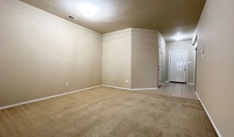 233 Niagara Falls Dr, Anna, TX 75409